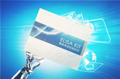 无锡某生物公司通过采购网成功订购恒远ELISA试剂盒