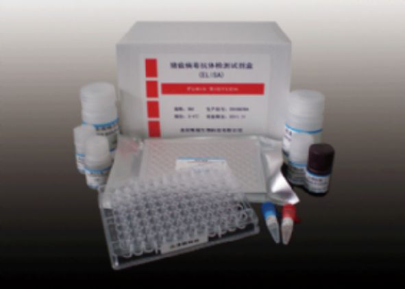 小鼠β淀粉样蛋白1-42(Aβ1-42)ELISA试剂盒