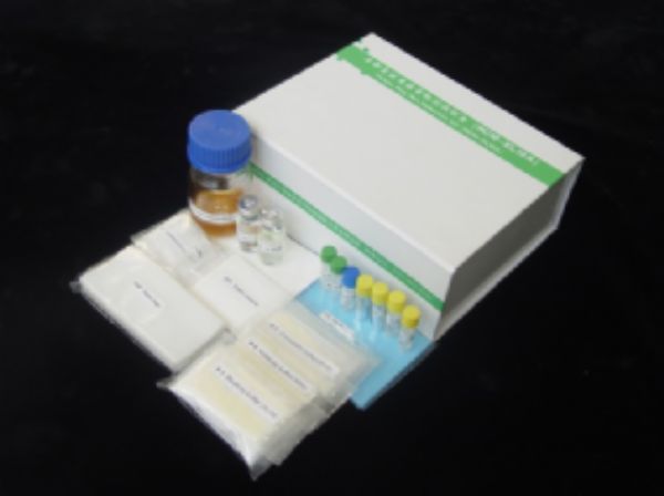 大鼠胰岛素受体β(ISR-β)ELISA试剂盒