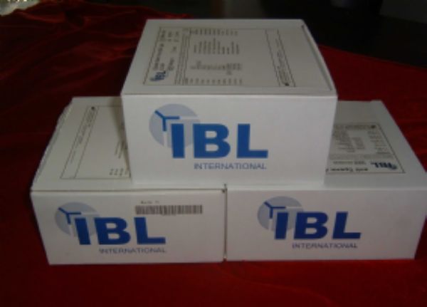 人癌基因蛋白质p190/bcr-abl ELISA试剂盒