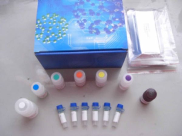 人白介素1α(IL-1α )ELISA试剂盒 规格