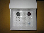 代测牛胆酸(Cholicacid)ELISA试剂盒价格