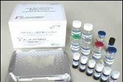 代测小鼠组织型纤溶酶原激活剂(t-PA)ELISA试剂盒价格