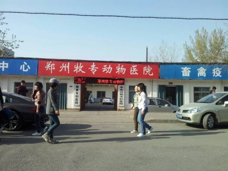 郑州牧专动物医院