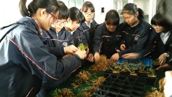 植物组织培养的创新天地 江苏省天一中学 植物组织培养的创新天地 江苏省天一中学