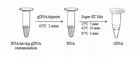 RT Master Mix for qPCR—高效反轉錄試劑 | MedChemExpress