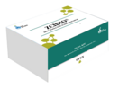 zcibio 小鼠白細胞介素6(IL-6)ELISA試劑盒