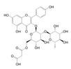 Kaempferol 3-O-(2''-O-α-rhamnosyl-6''-O-malonyl)-β-glucoside 528606-92-0