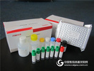 孔雀石綠檢測試劑盒E050106