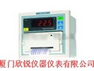 温度记录仪DR-300A 