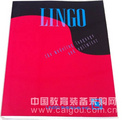 lingo 14.0软件代理
