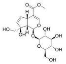 羟异栀子苷 24512-62-7