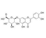 木犀草素-7-葡萄糖醛酸苷 29741-10-4