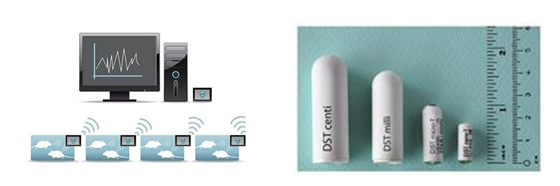 DST植入式动物体温心率数据采集器