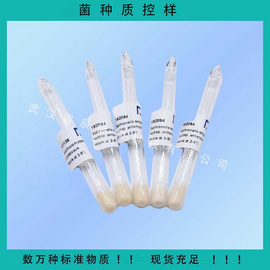 BNCC186558 嗜热链球菌  益生菌生产/微生物菌种/菌种质控样/标准菌株