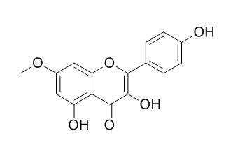 鼠李檸檬素 569-92-6