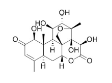鴉膽子素D 21499-66-1