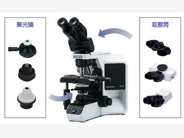 奥林巴斯研究级显微镜BX43 相差荧光现货