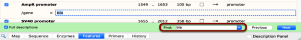 SnapGene——酶、特征或引物的查询