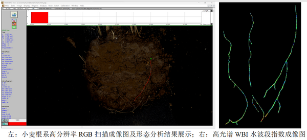 RhizoTron根系表型观测系统落户中国农业大学