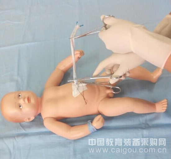 【杭州師范大學錢江學院】新生兒的臍帶結扎與護理模型