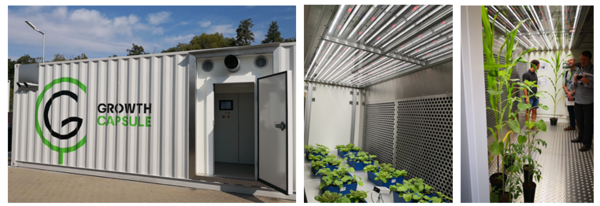 Field-based Phenotyping 大田高通量作物表型成像分析技術方案（二）