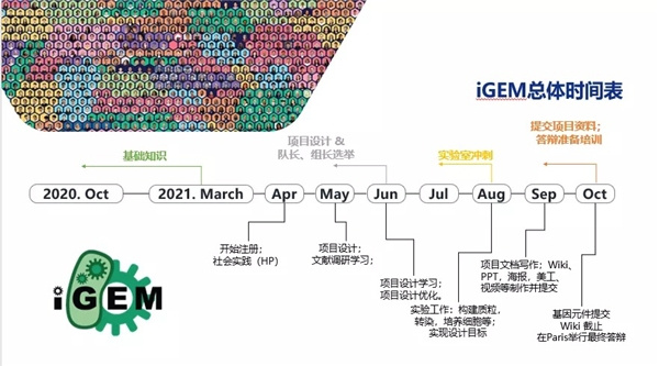 全球銀獎！和世界名校同臺競技，朝陽凱文在國際生物賽事中喜獲殊榮