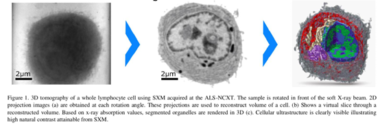 开创问世！实验室型软X射线细胞结构显微镜，无需切片即可获得细胞超分辨结构！