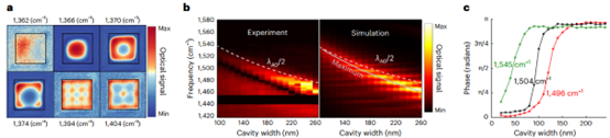 Nature Materials ！纳米光谱与成像系统助力纳米腔研究，打破品质因子极限