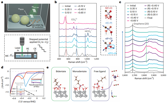 Nature Catal.丨10 nm 红外助力纳米尺度原位研究！