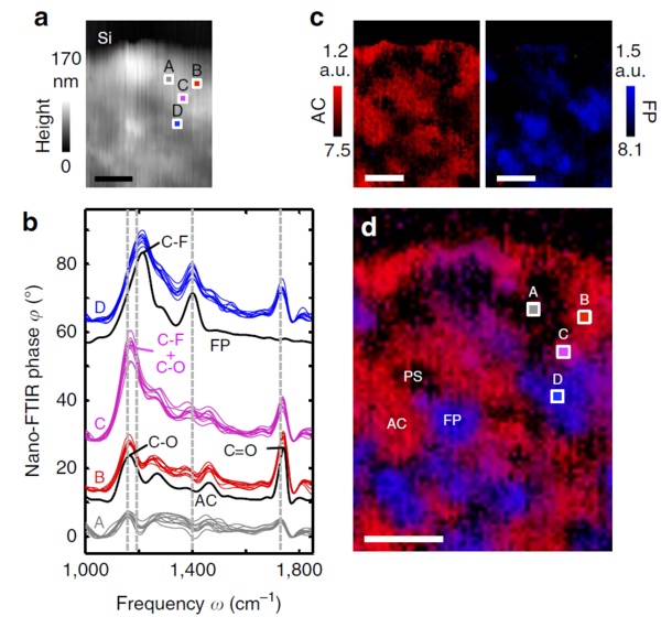 nano-FTIR：攻克無損化學檢測科研難題 實現高分子材料納米無損研究