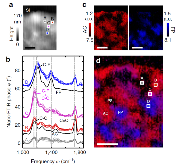 nano-FTIR：攻克无损化学检测科研难题 实现高分子材料纳米无损研究