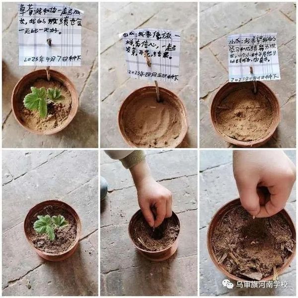 雙減 | 鄂爾多斯市特色作業歡樂多