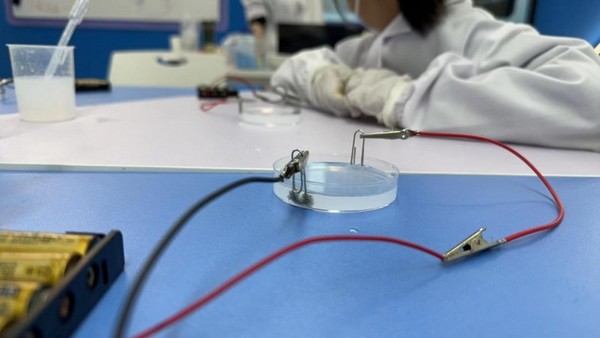 奇趣科學與美國科學教育體系與教學理念深度解析