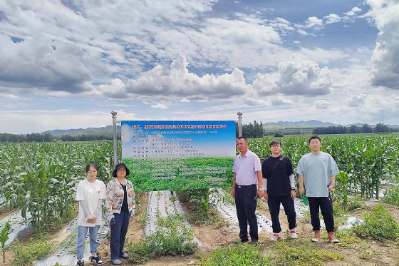 北京農學院：深入種植一線，推廣北蒼術種植關鍵技術