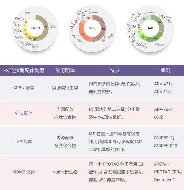 PROTAC——靶點選擇與設計 | MedChemExpress