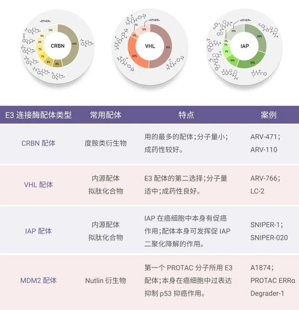 PROTAC——靶点选择与设计 | MedChemExpress