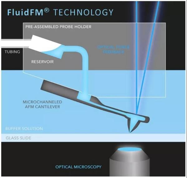 多功能单细胞显微操作系统FluidFM BOT的原理与应用介绍