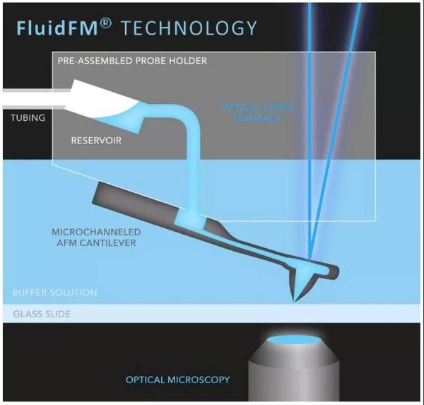 多功能單細胞顯微操作系統FluidFM BOT的原理與應用介紹