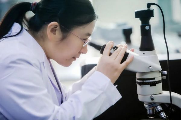 山東教育這十年|高?？蒲袑崿F“顯著”突變