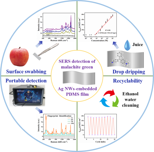 嵌入式柔性SERS基底对孔雀石绿残留的多检测模式