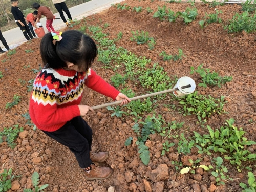 江西大余：让劳动课成为快乐学习的课堂