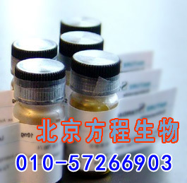 方程生物试剂图片 (6).jpg 人麦芽糖酶糖化酶(MGA)kit试剂盒/免费检测检测(ELISA)kit试剂盒/免费检测