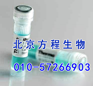 方程生物试剂图片 (4).jpg 人氯化物细胞内通道蛋白1(CLIC1)检测/(ELISA)kit试剂盒/免费检测