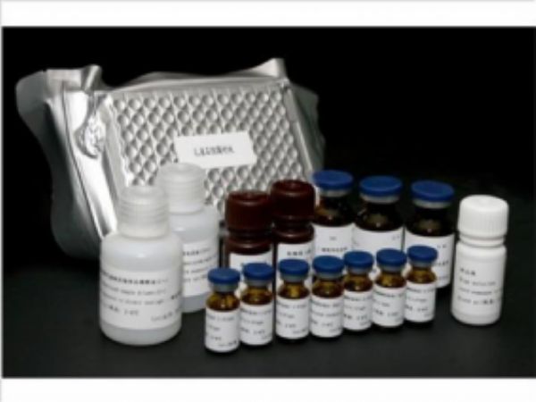 犬白细胞分化抗原8(CD8)ELISA试剂盒