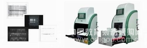 自动凝胶成像分析系统