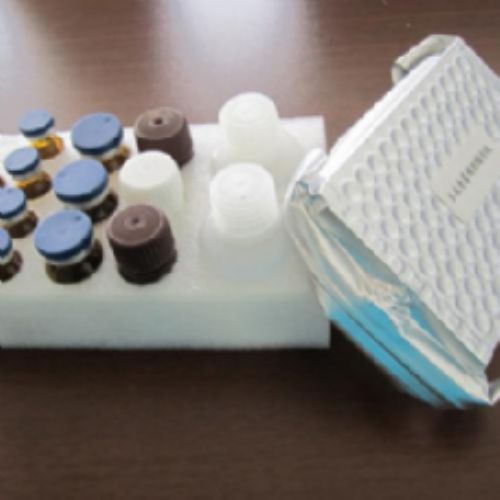 人环磷酸鸟苷(cGMP)ELISA试剂盒 规格