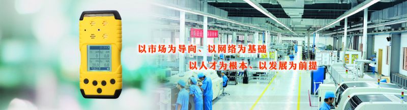 便携式氮气检测仪 扩散式氮气测试仪