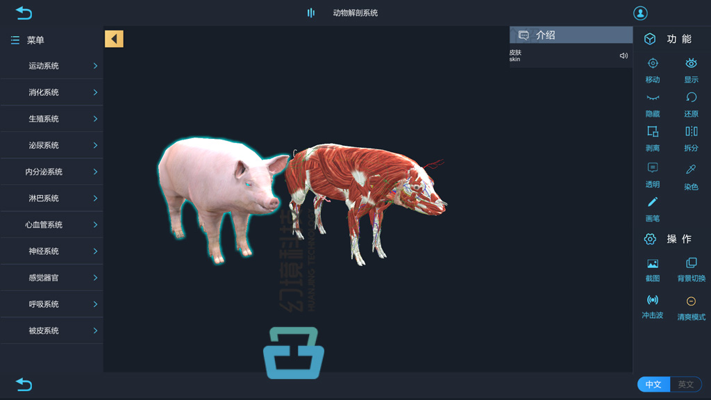 VR动物解剖实验室 动物医学虚拟仿真教学软件